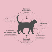 Grandorf FRESH CAT Duck корм сухой для взрослых кошек, диетическая формула для особо аллергичных кошек, утка с бататом