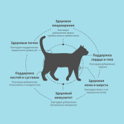 Grandorf FRESH CAT Lamb STERILISED корм сухой для стерелизованных кошек, чувствительное пищеварение или склонность к аллергии, ягненок с бататом