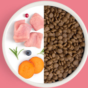 Grandorf FRESH CAT Turkey STERILISED корм сухой для стерелизованных кошек, диетическая формула для особо аллергичных кошек, индейка с бататом