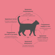 Grandorf FRESH CAT Turkey STERILISED корм сухой для стерелизованных кошек, диетическая формула для особо аллергичных кошек, индейка с бататом