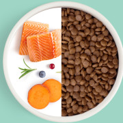Grandorf FRESH CAT Salmon STERILISED корм сухой для стерелизованных кошек , для здоровья кожи и шерсти или склонных к аллергии, лосось с бататом