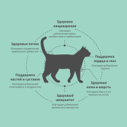 Grandorf FRESH CAT Salmon STERILISED корм сухой для стерелизованных кошек , для здоровья кожи и шерсти или склонных к аллергии, лосось с бататом