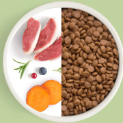 Grandorf FRESH CAT Duck STERILISED корм сухой для стерелизованных кошек, диетическая формула для особо аллергичных кошек, утка с бататом