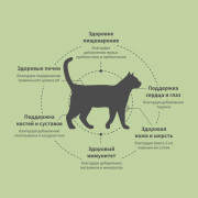 Grandorf FRESH CAT Duck STERILISED корм сухой для стерелизованных кошек, диетическая формула для особо аллергичных кошек, утка с бататом