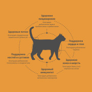 Grandorf CAT Lamb LARGE корм сухой для взрослых кошек крупных пород,чувствительное пищеварение или склонность к аллергии, ягненок с бататом