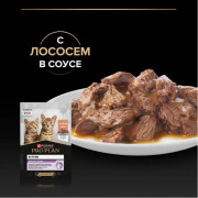 Влажный корм PRO PLAN HEALTHY START для котят, беременных и кормящих кошек, кусочки с лососем в соусе