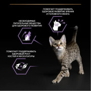 Влажный корм PRO PLAN HEALTHY START для котят, беременных и кормящих кошек, кусочки с лососем в соусе