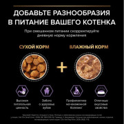Влажный корм PRO PLAN HEALTHY START для котят, беременных и кормящих кошек, кусочки с лососем в соусе