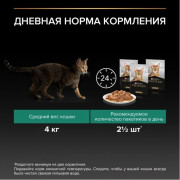 Влажный корм PRO PLAN Sterilised MAINTENANCE для взрослых стерилизованных кошек, с индейкой в соусе
