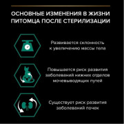 Влажный корм PRO PLAN Sterilised MAINTENANCE для взрослых стерилизованных кошек, с кроликом в соусе