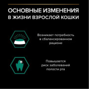 Влажный корм PRO PLAN MAINTENANCE для взрослых кошек, с курицей в соусе