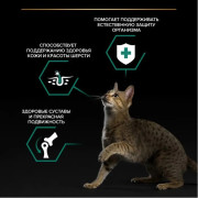 Влажный корм PRO PLAN MAINTENANCE для взрослых кошек, с курицей в соусе
