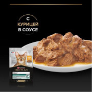 Влажный корм PRO PLAN MAINTENANCE для взрослых кошек, с курицей в соусе