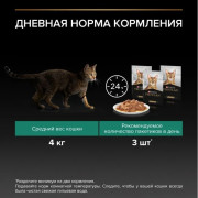 Влажный корм PRO PLAN MAINTENANCE для взрослых кошек, с курицей в соусе
