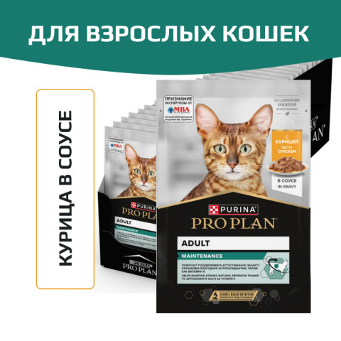 Влажный корм PRO PLAN MAINTENANCE для взрослых кошек, с курицей в соусе
