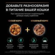 Влажный корм PRO PLAN MAINTENANCE для взрослых кошек, с говядиной в соусе