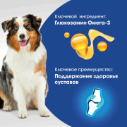 PERFECT FIT JOINTS лакомство для собак, с говядиной, рыбьим жиром и глюкозамином