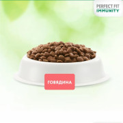 PERFECT FIT Immunity корм сухой для поддержания иммунитета кошек, с говядиной и добавлением семян льна и голубики