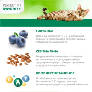 PERFECT FIT Immunity корм сухой для поддержания иммунитета кошек, с говядиной и добавлением семян льна и голубики