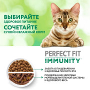 PERFECT FIT Immunity корм сухой для поддержания иммунитета кошек, с говядиной и добавлением семян льна и голубики