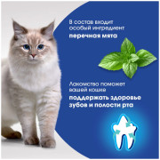 PERFECT FIT Oral Care лакомство для здоровья зубов и полости рта с курицей и добавлением мяты для кошек