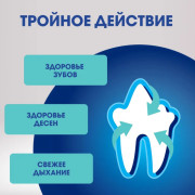 PERFECT FIT Oral Care лакомство для здоровья зубов и полости рта с говядиной и добавлением мяты для собак мелких пород