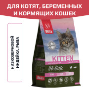 Blitz Holistic Cat низкозерновой сухой корм для котят, беременных и кормящих кошек, индейка и рыба