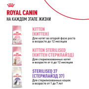 Royal Canin Kitten Sterilised корм сухой сбалансированный для стерилизованных котят до 12 месяцев