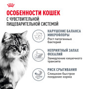 Royal Canin Digestive care корм сухой полнорационный для взрослых кошек для поддержания здоровья пищеварительной системы