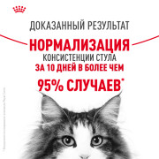 Royal Canin Digestive care корм сухой полнорационный для взрослых кошек для поддержания здоровья пищеварительной системы