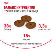 Royal Canin Digestive care корм сухой полнорационный для взрослых кошек для поддержания здоровья пищеварительной системы
