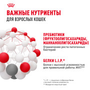 Royal Canin Digestive care корм сухой полнорационный для взрослых кошек для поддержания здоровья пищеварительной системы