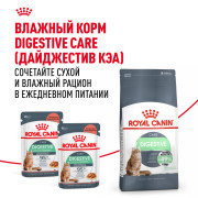 Royal Canin Digestive care корм сухой полнорационный для взрослых кошек для поддержания здоровья пищеварительной системы