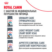 Royal Canin Digestive care корм сухой полнорационный для взрослых кошек для поддержания здоровья пищеварительной системы