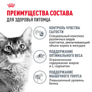 Royal Canin Light Weight Care корм влажный для взрослых кошек, рекомендуется для контроля набора веса, мелкие кусочки в желе