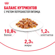 Royal Canin Light Weight Care корм влажный для взрослых кошек, рекомендуется для контроля набора веса, мелкие кусочки в желе
