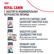Royal Canin Light Weight Care корм влажный для взрослых кошек, рекомендуется для контроля набора веса, мелкие кусочки в желе