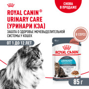 Royal Canin Urinary Care корм влажный для взрослых кошек, рекомендуется для поддержания здоровья мочевыделительной системы, мелкие кусочки в соусе
