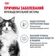 Royal Canin Urinary Care корм влажный для взрослых кошек, рекомендуется для поддержания здоровья мочевыделительной системы, мелкие кусочки в соусе