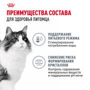 Royal Canin Urinary Care корм влажный для взрослых кошек, рекомендуется для поддержания здоровья мочевыделительной системы, мелкие кусочки в соусе
