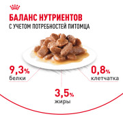 Royal Canin Urinary Care корм влажный для взрослых кошек, рекомендуется для поддержания здоровья мочевыделительной системы, мелкие кусочки в соусе