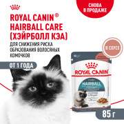 Royal Canin Hairball Care корм влажный для взрослых кошек, рекомендуется для снижения риска образования волосяных комочков, мелкие кусочки в соусе