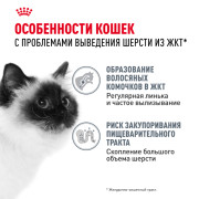 Royal Canin Hairball Care корм влажный для взрослых кошек, рекомендуется для снижения риска образования волосяных комочков, мелкие кусочки в соусе