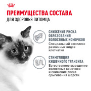 Royal Canin Hairball Care корм влажный для взрослых кошек, рекомендуется для снижения риска образования волосяных комочков, мелкие кусочки в соусе