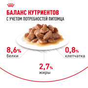 Royal Canin Hairball Care корм влажный для взрослых кошек, рекомендуется для снижения риска образования волосяных комочков, мелкие кусочки в соусе
