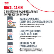 Royal Canin Hairball Care корм влажный для взрослых кошек, рекомендуется для снижения риска образования волосяных комочков, мелкие кусочки в соусе