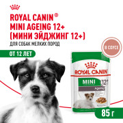 Royal Canin Mini Ageing 12+ корм влажный полнорационный для стареющих собак мелких размеров (весом от 1 до 10 кг) в возрасте старше 12 лет, кусочки в соусе