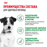 Royal Canin Mini Ageing 12+ корм влажный полнорационный для стареющих собак мелких размеров (весом от 1 до 10 кг) в возрасте старше 12 лет, кусочки в соусе