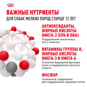 Royal Canin Mini Ageing 12+ корм влажный полнорационный для стареющих собак мелких размеров (весом от 1 до 10 кг) в возрасте старше 12 лет, кусочки в соусе