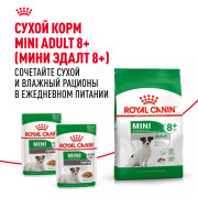 Royal Canin Mini Ageing 12+ корм влажный полнорационный для стареющих собак мелких размеров (весом от 1 до 10 кг) в возрасте старше 12 лет, кусочки в соусе
